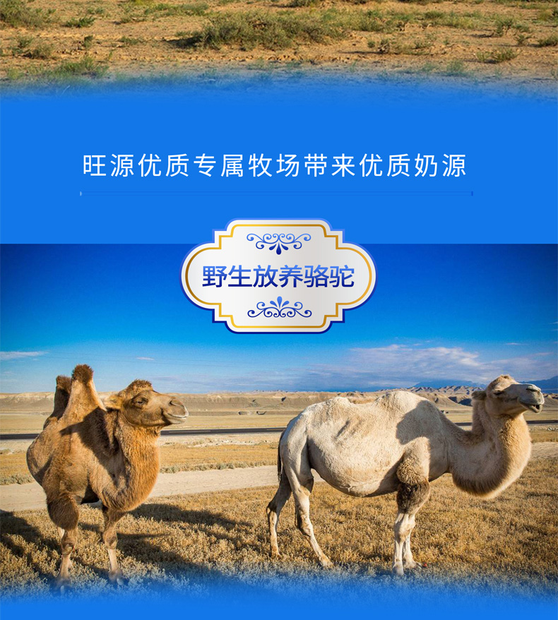 CA88����(�й���) - Ψһ�ٷ���վ