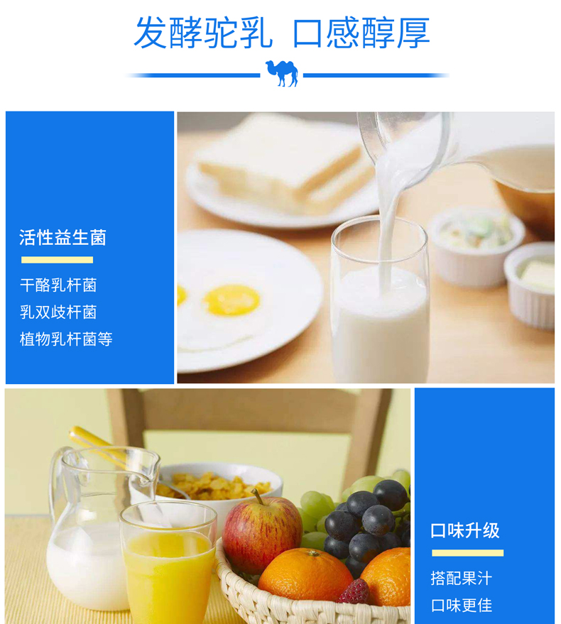 CA88����(�й���) - Ψһ�ٷ���վ