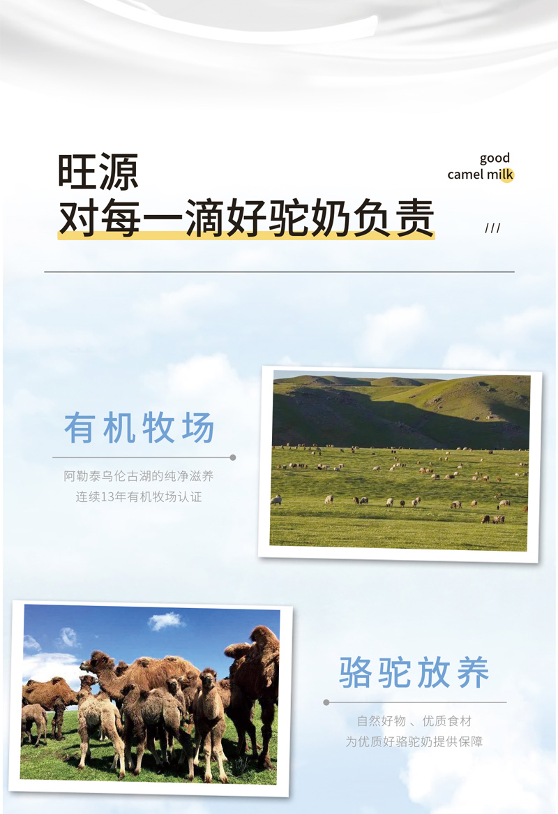 CA88����(�й���) - Ψһ�ٷ���վ