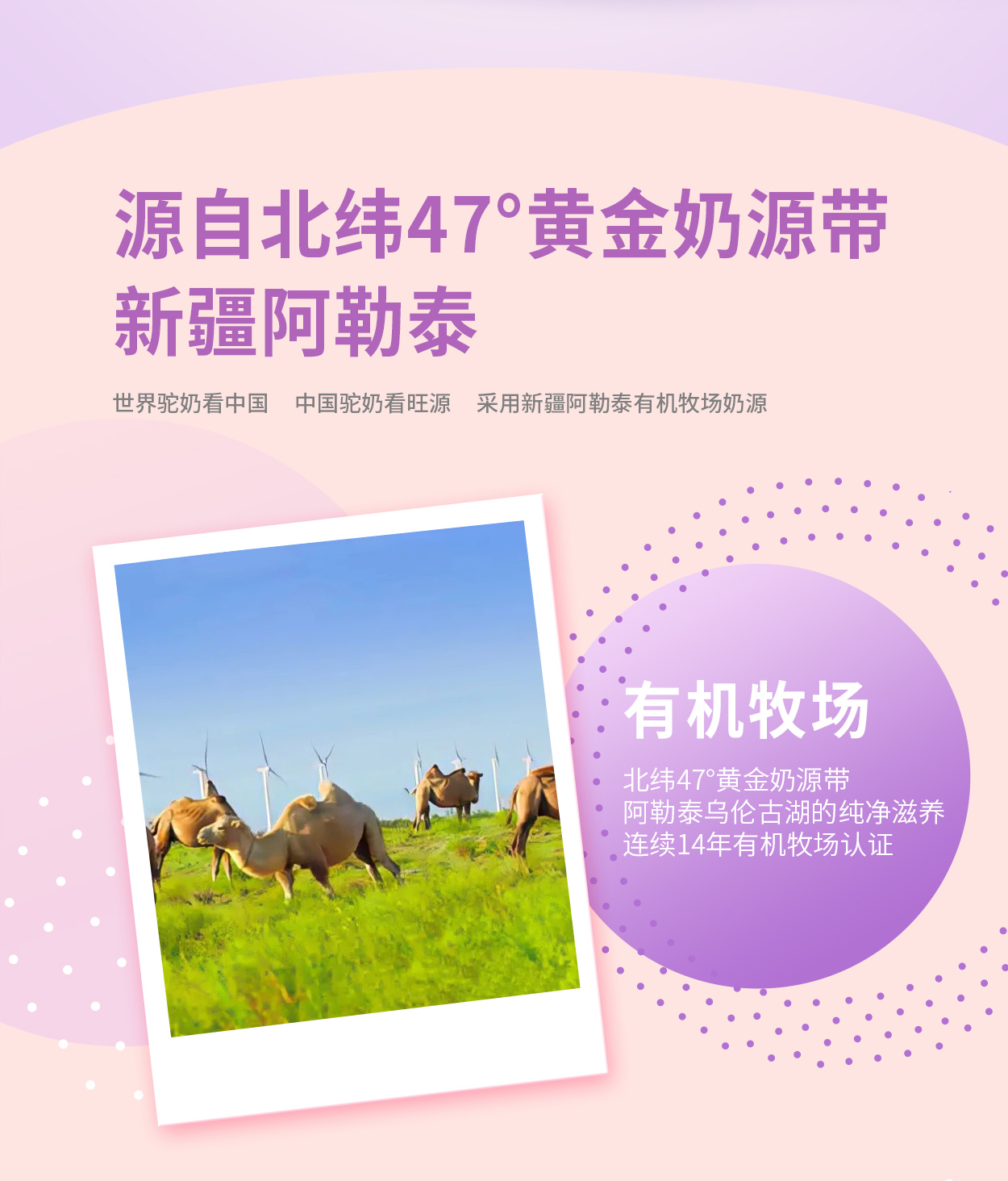 CA88����(�й���) - Ψһ�ٷ���վ
