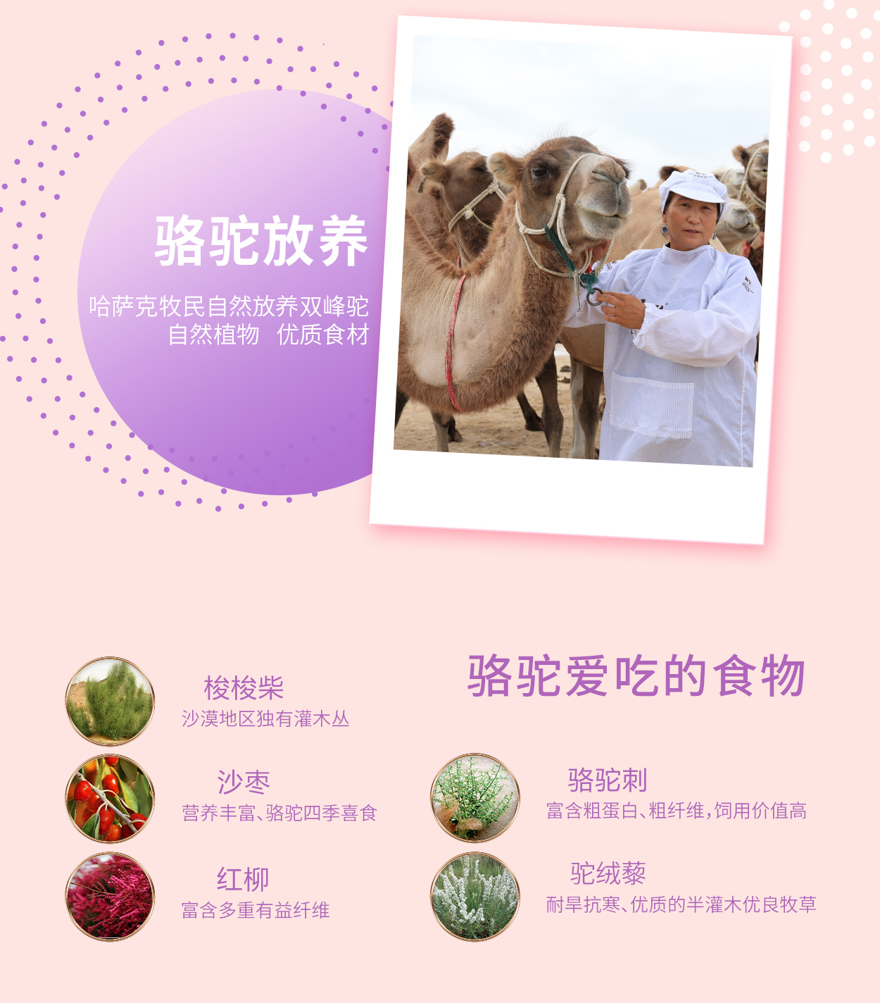 CA88����(�й���) - Ψһ�ٷ���վ