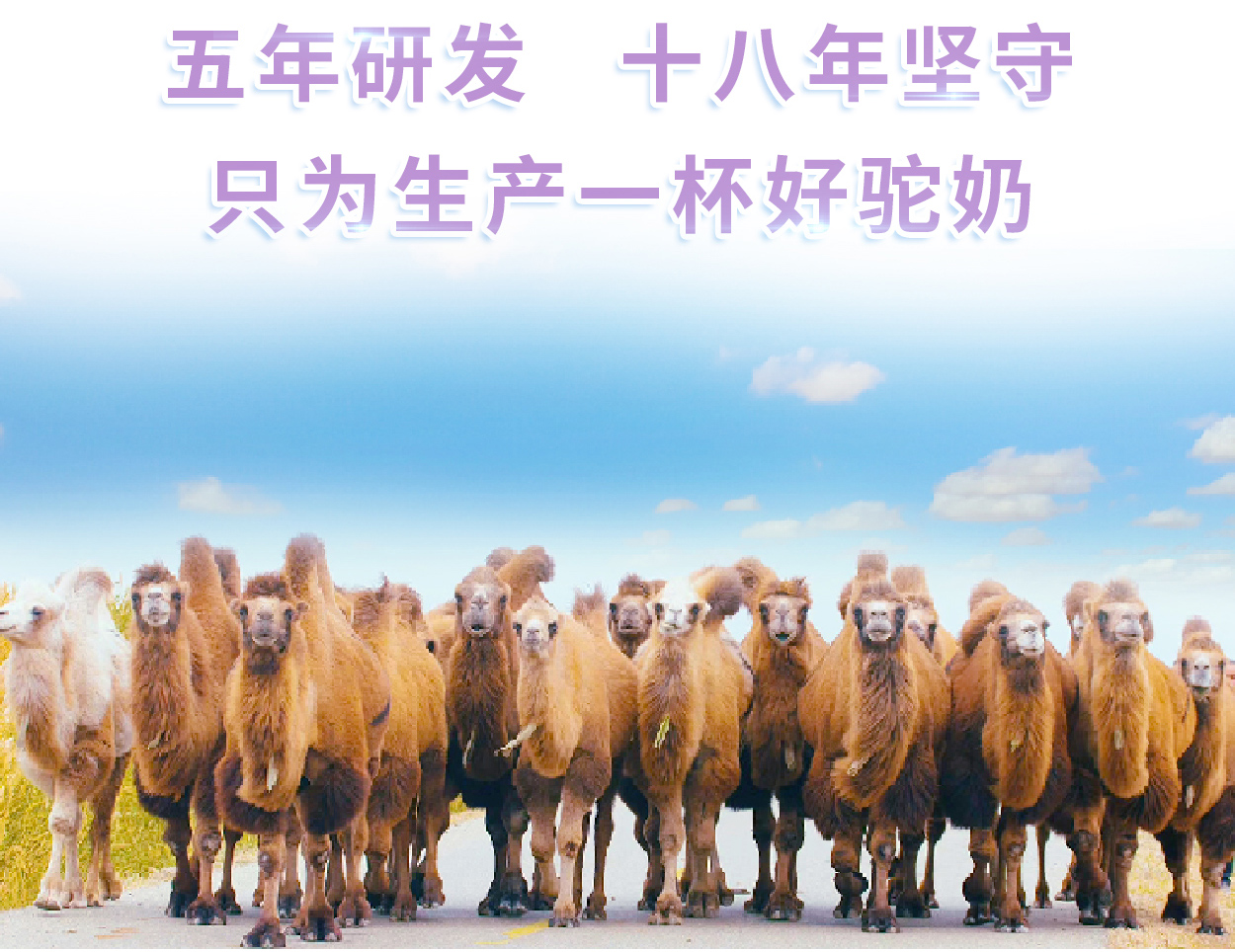 CA88����(�й���) - Ψһ�ٷ���վ